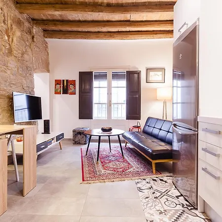 Apartament Ferreries Boutique Girona